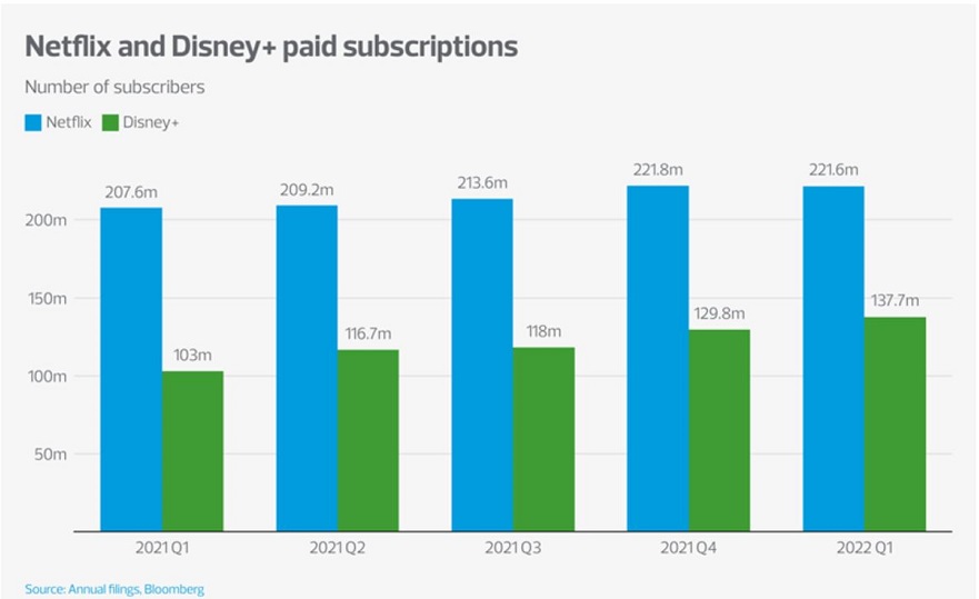 Netflix and Disney paid subscriptions 