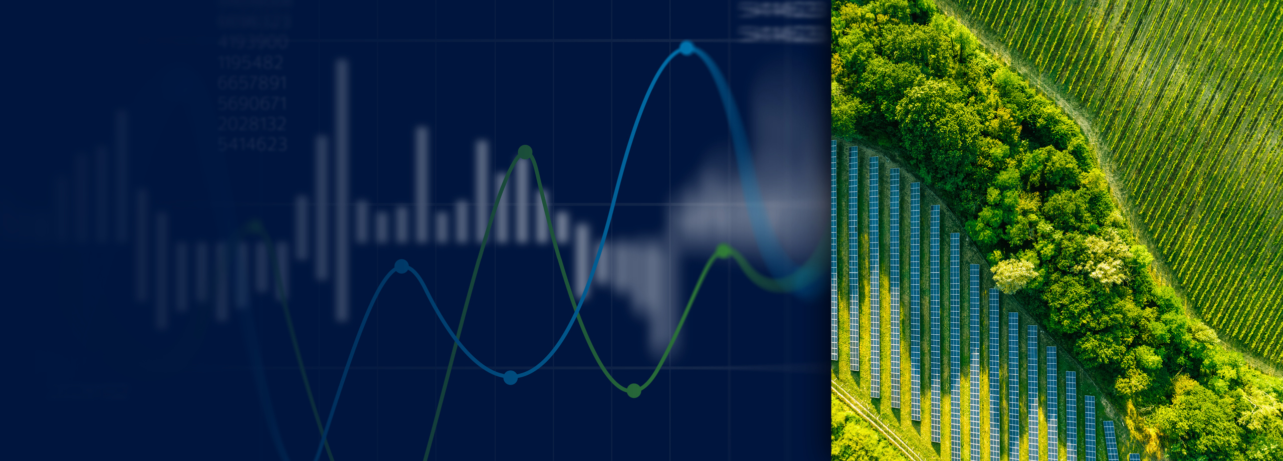 Sustainability report | The Real Economy 