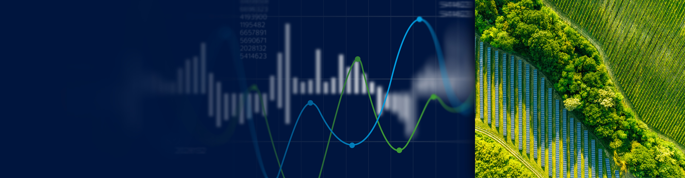 Sustainability report | The Real Economy 