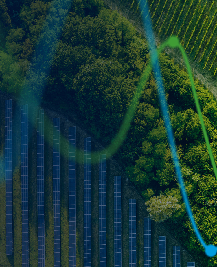 Sustainability report | The Real Economy 
