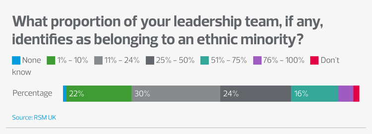 Bar graph showing percentage of leadership team by ethnicity. Results mentioned in the text.