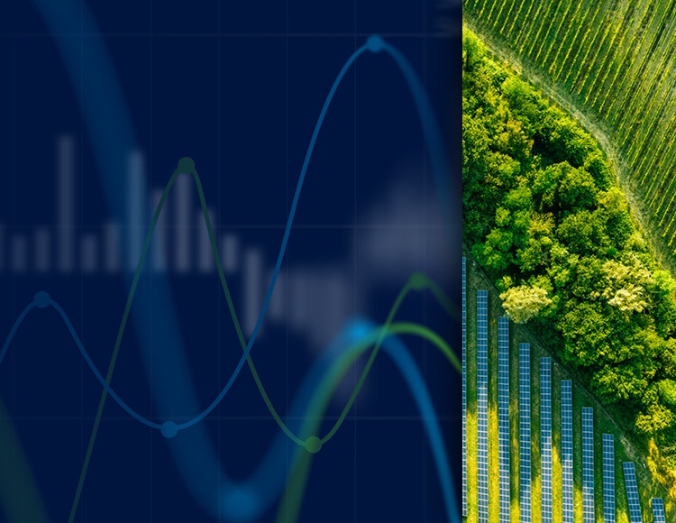 Sustainability report | The Real Economy