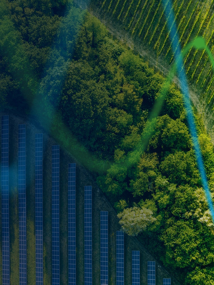 Sustainability report | The Real Economy