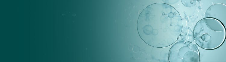 Desktop Banner