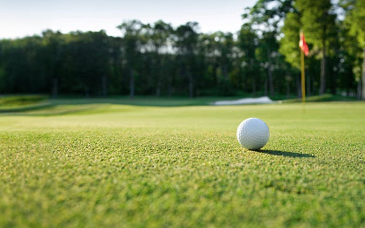 RSM and golf