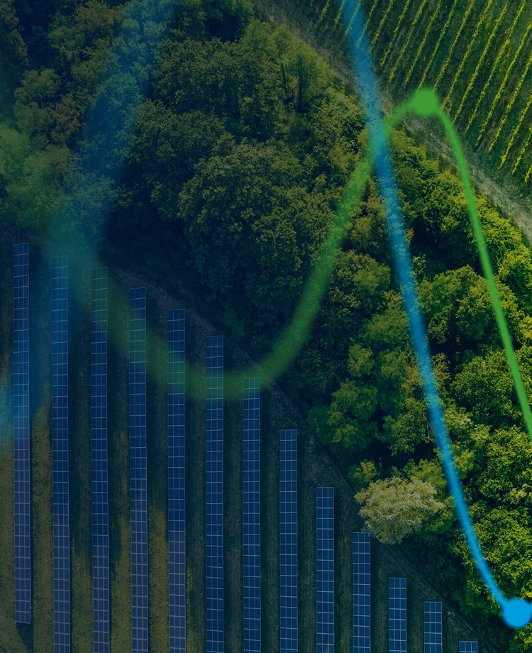 Sustainability report | The Real Economy