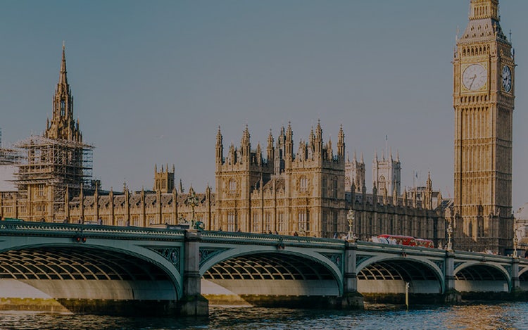 Government and public sector