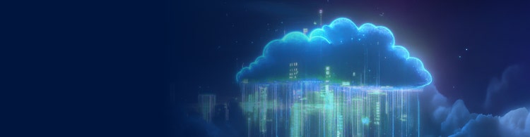 Netsuite optimisation - hero banner big